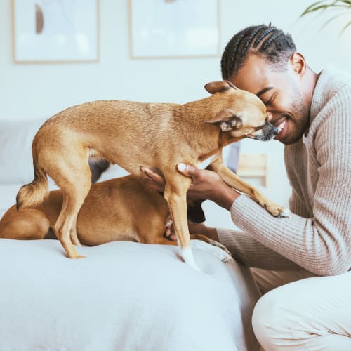 Happy dogs loved by its owner at Paddock Club Apartments in Florence, Kentucky