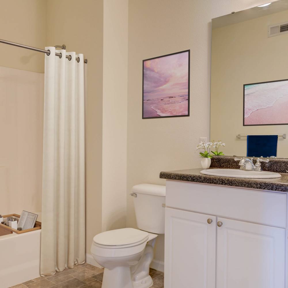 Charming bathroom with modern finishes and serene ocean-themed decor at Boulder Springs in Maryland Heights, Missouri.