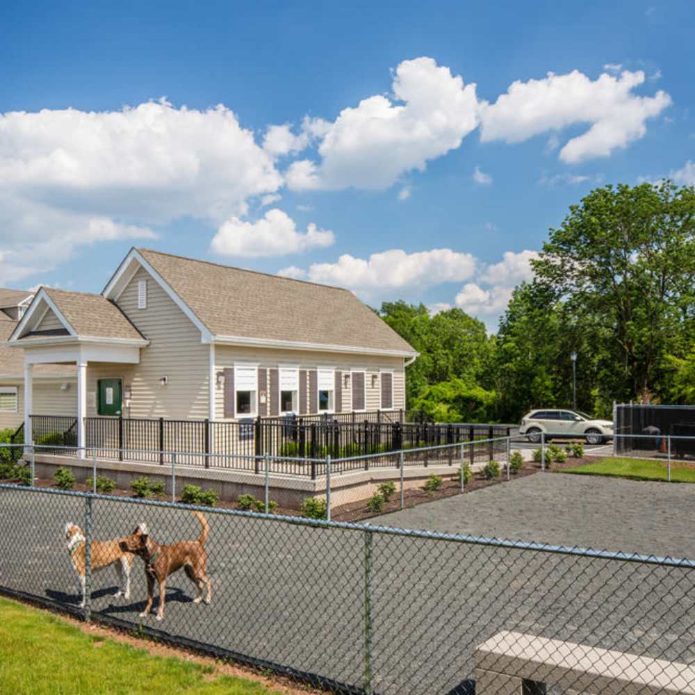 Dog park at Grove at Somerset in Somerset, New Jersey