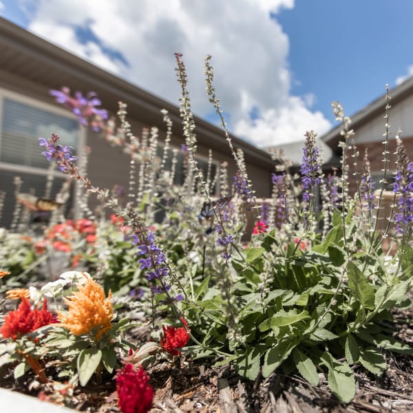 flowers outside at The Wildwood Senior Living in Joplin, Missouri