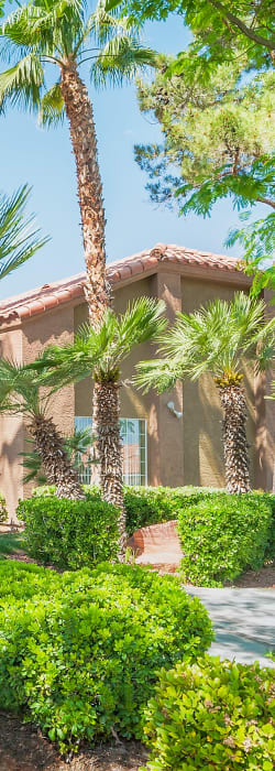 Mariposa Flats in Henderson, Nevada