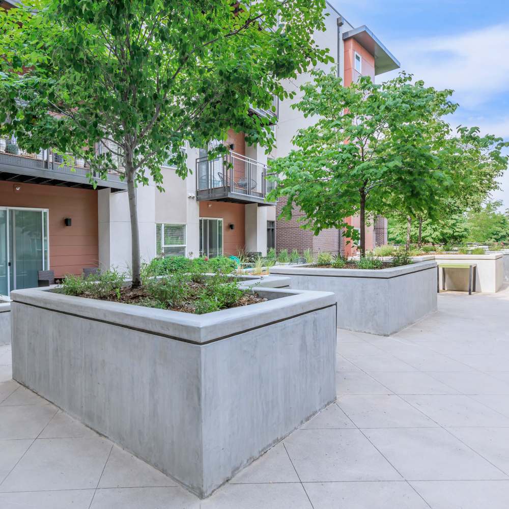 Property with green trees at Park Place Olde Town Apartments in Arvada, Colorado