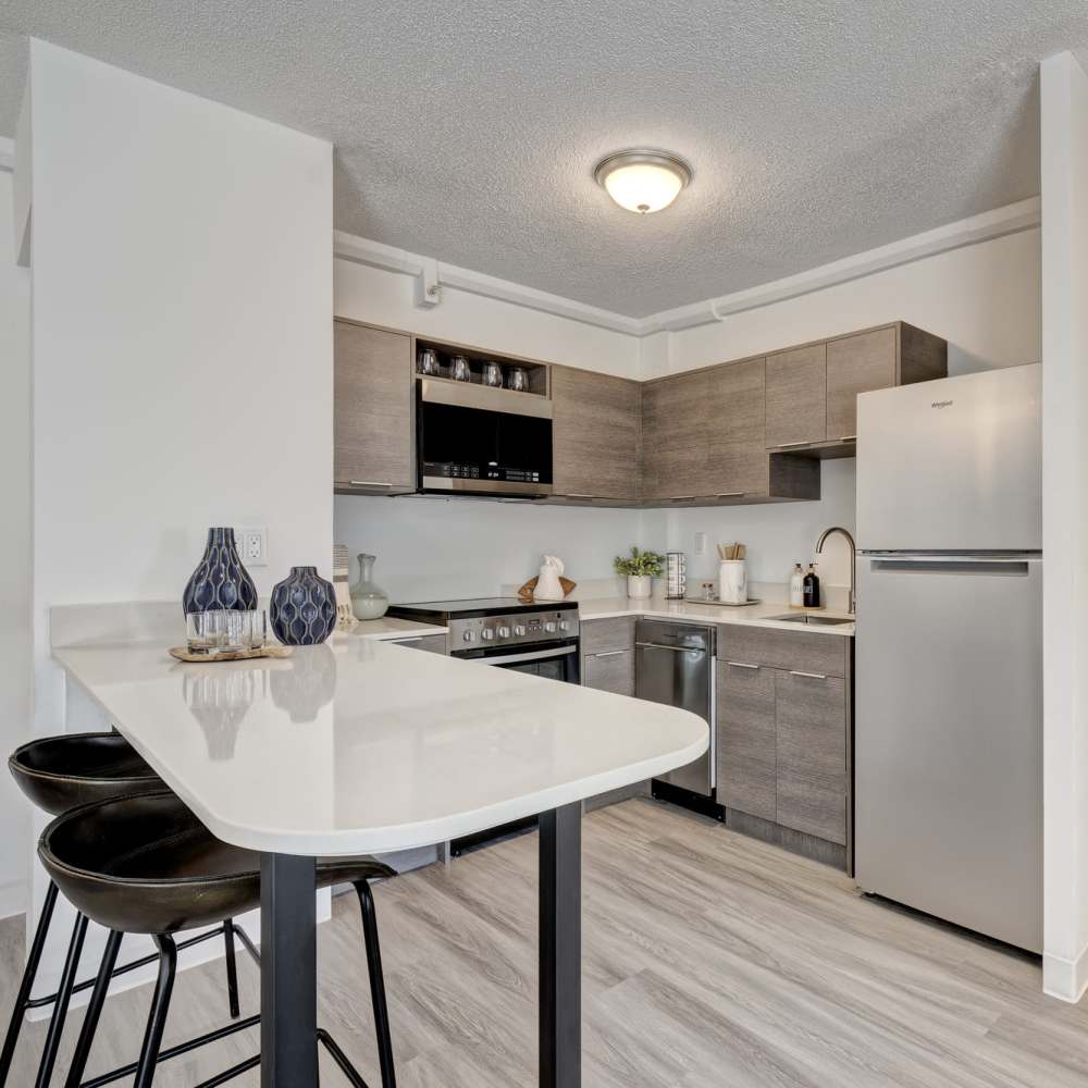 Energy-efficient appliances in the kitchen at The Otis in Dallas, Texas