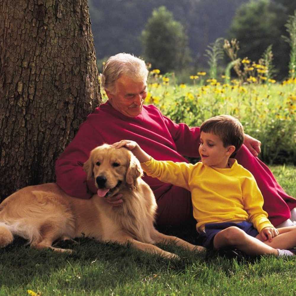 Resident kid and his grandfather playing with pet dog at Valencia Villa in Valencia, California