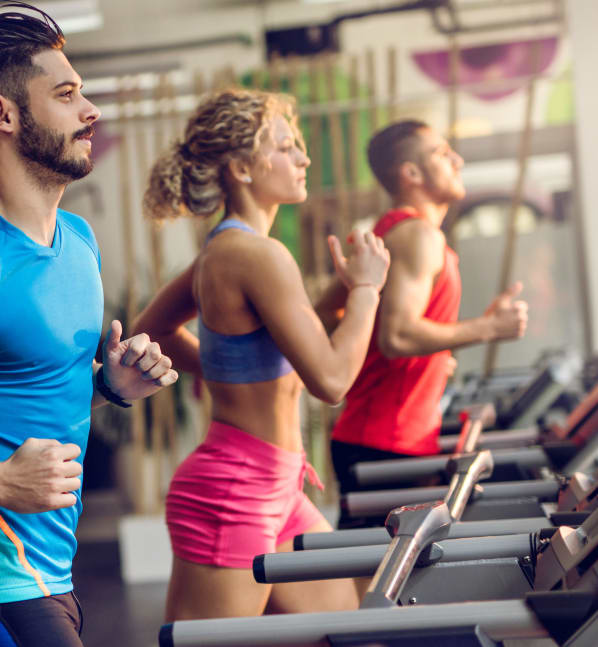 The Venue has fitness center nearby in Rochester, NY