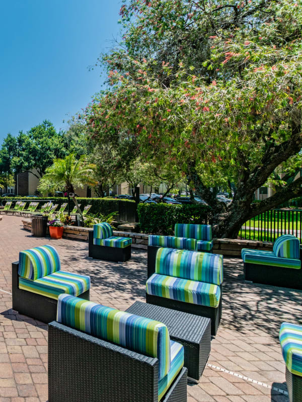 Beautiful Oak Tree Conservation Views at Legend Oaks in Tampa, Florida