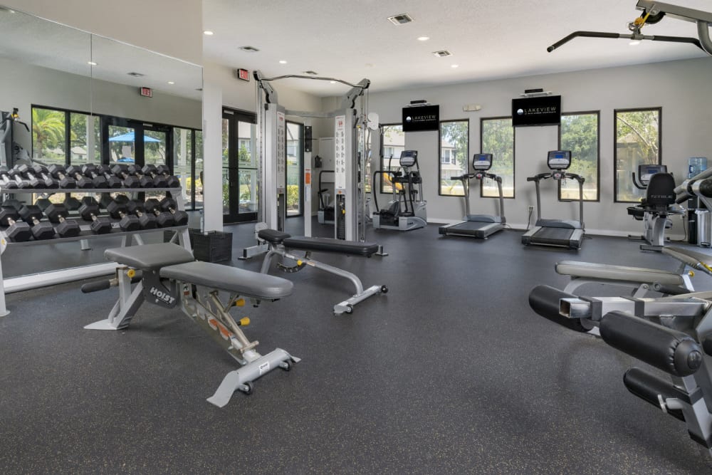 Fitness center at Lakeview at Palm Harbor in Palm Harbor, Florida