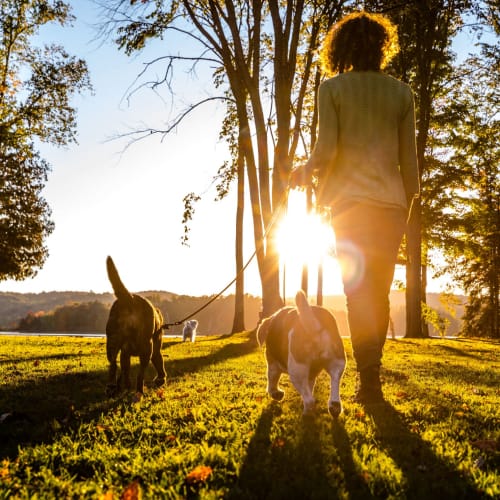 Resident walking her dog at Chesterfield Flats, North Chesterfield, Virginia