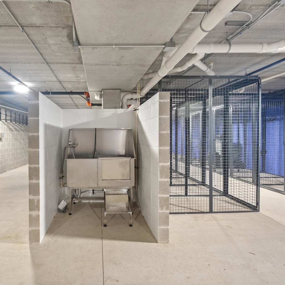 Dog wash at apartments madison wisconsin