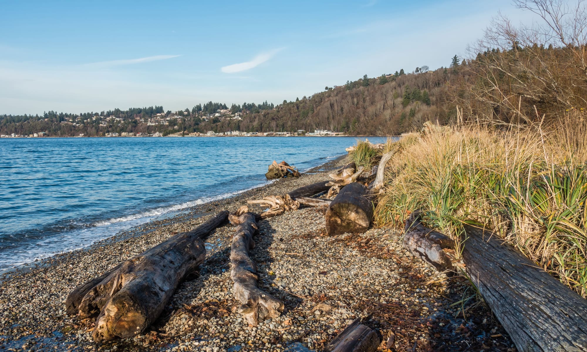 Learn more about Discovery Landing Apartment Homes in Burien, WA