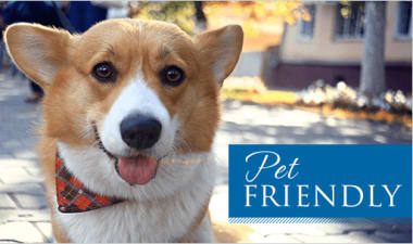 Pet Friendly senior living community