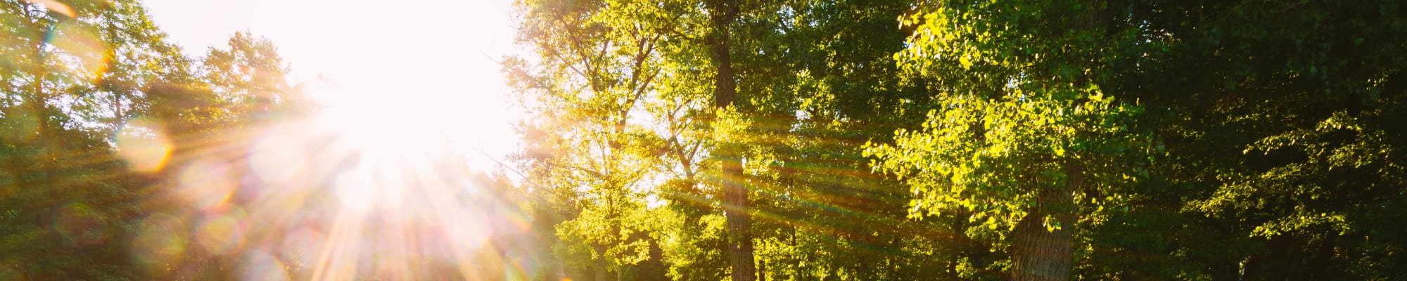 Memory Care options at senior living community in Portage Indiana
