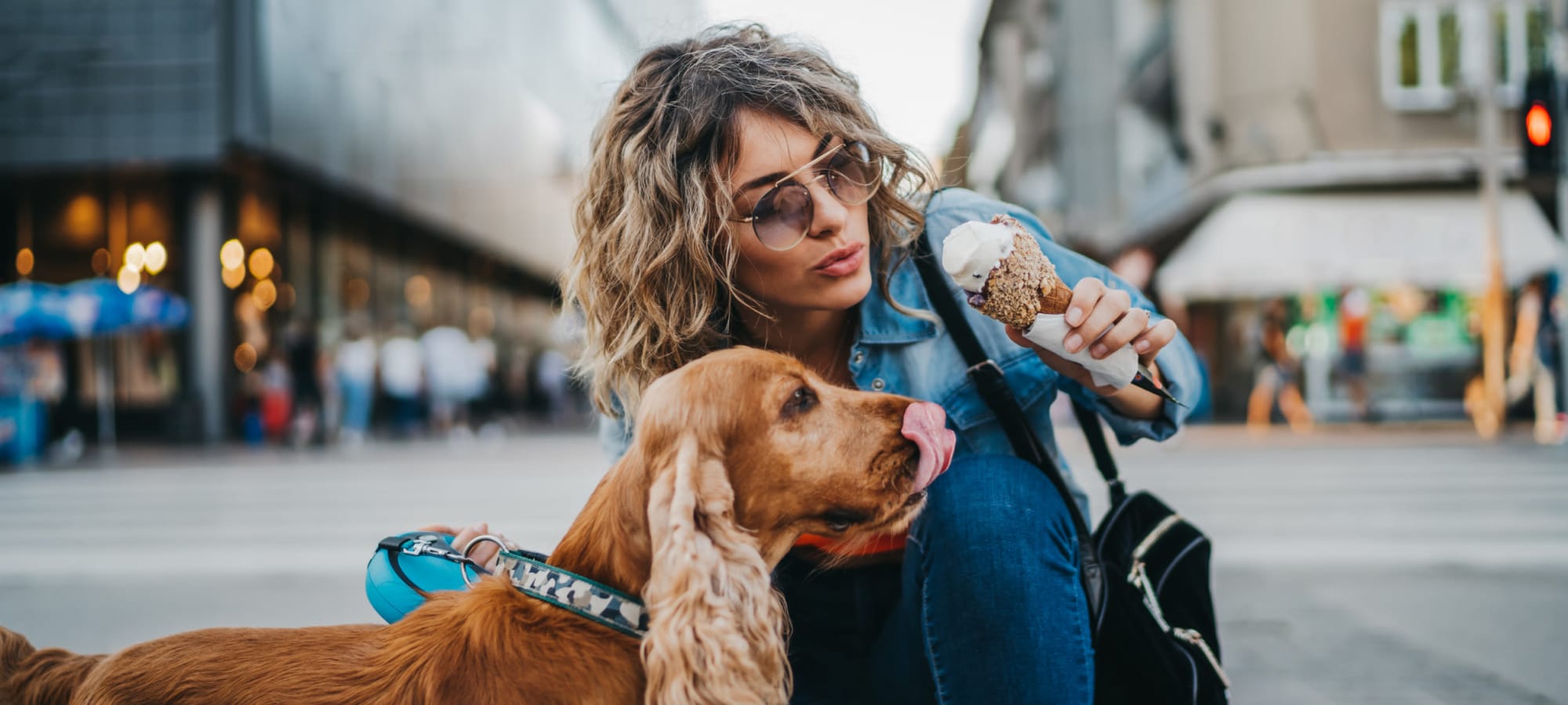 Pet policy at Marquis at The Woodlands in Spring, Texas