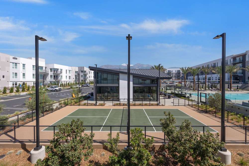 Pickleball Court