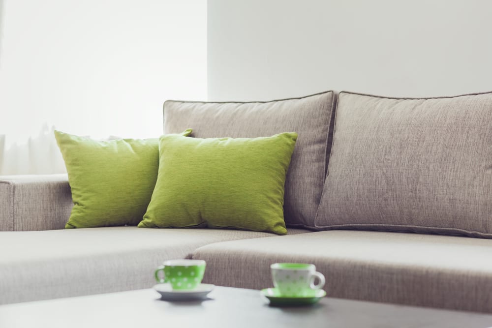 Comfortable couch in apartments at Canyon View in Las Vegas, Nevada