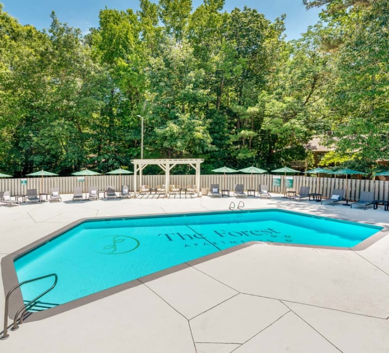 Tennis courts with a tree-line view at The Forest in Durham, North Carolina