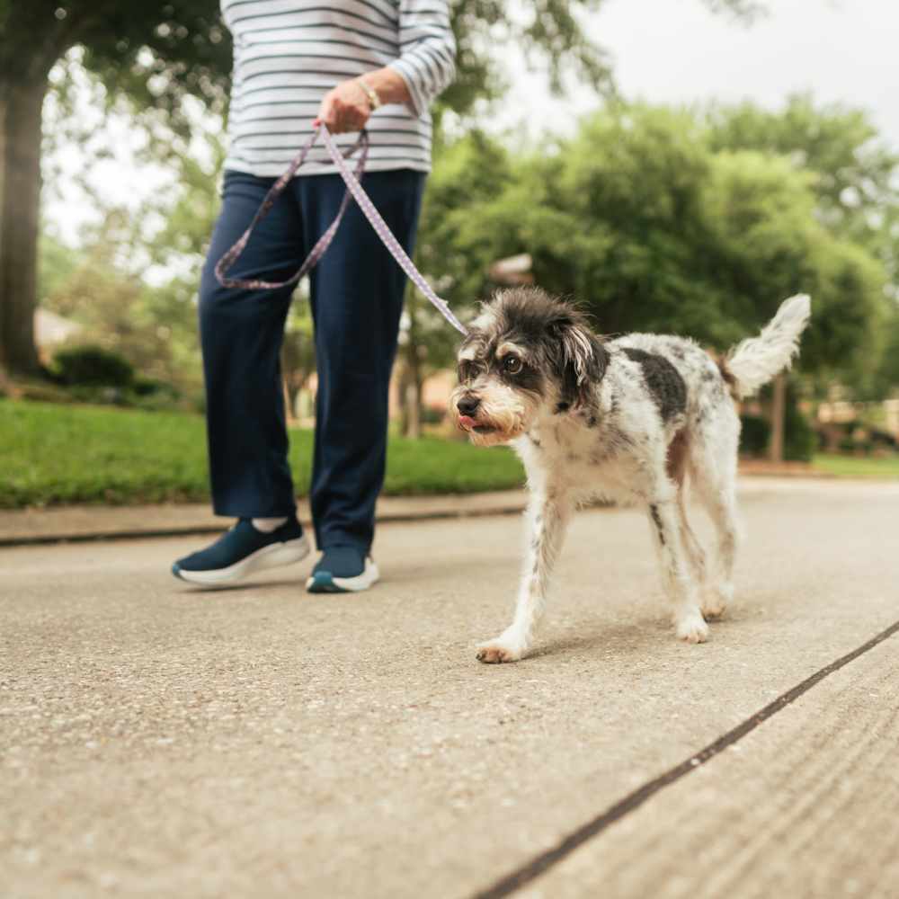 Pet-friendly at The Gates at Coralbay in Waveland, Mississippi