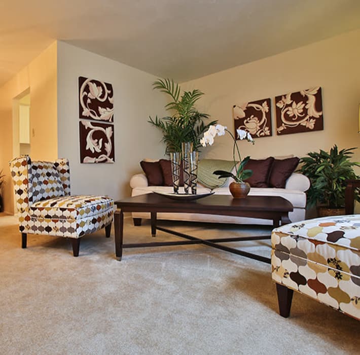 Efficiency 1 2 3 Bedroom Apartments In Bryan Willow