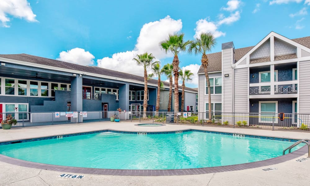 quarter-circle pool with palm trees nearby at The Estates at Avenstar in Houston, Texas