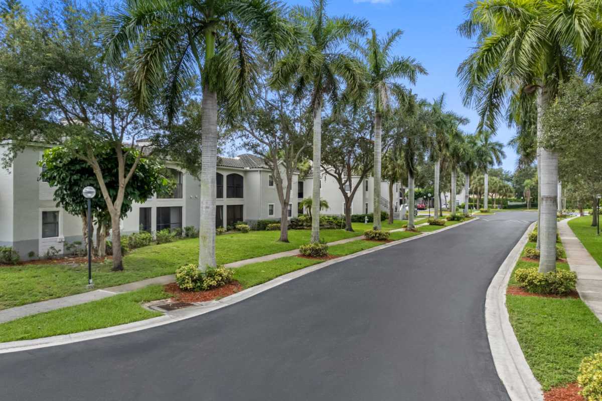 Driveway with trees at Stella Boca Raton Apartments, Boca Raton, Florida
