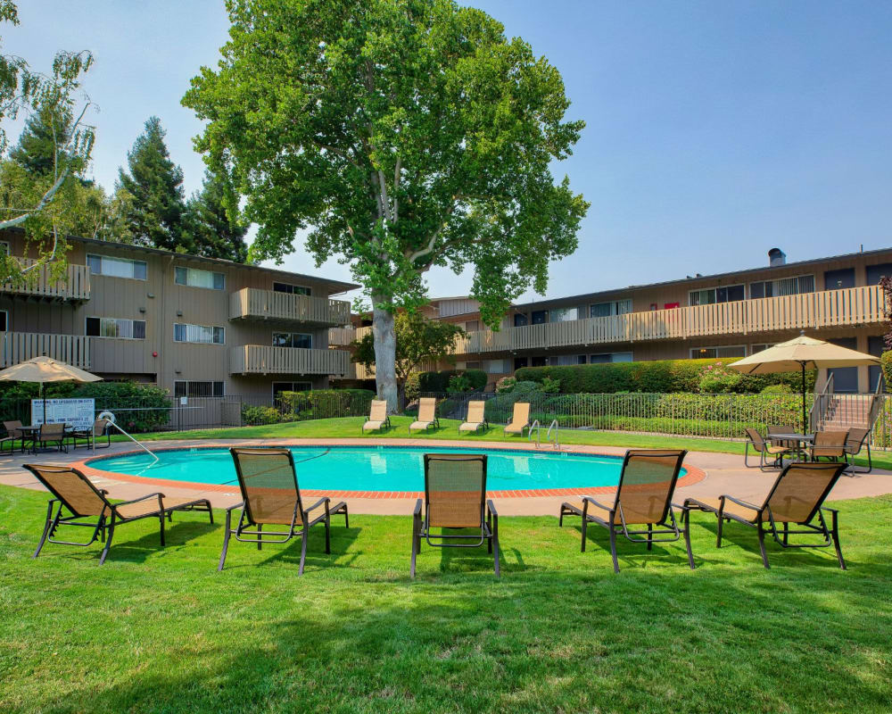 Swimming pool at Stanford Villa in Palo Alto, California