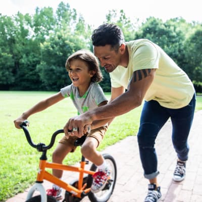Link to pet policy of Kingsgate Meadows Apartments in Kirkland, Washington