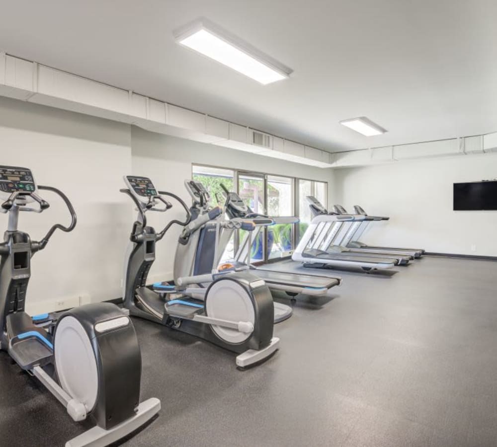 Large fitness center with various cardio equipment at The Villas at Woodland Hills in Woodland Hills, California