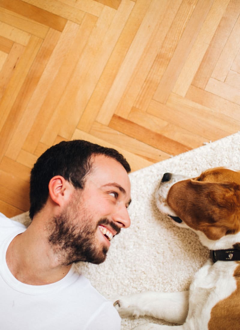 Pet fees at Alante at the Islands in Chandler, Arizona