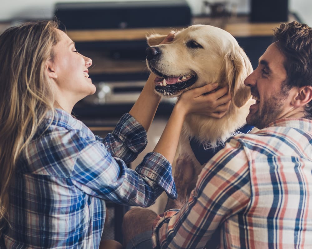Residents and their dog relaxing on the couch in their new home at Domus on the Boulevard in Mountain View, California