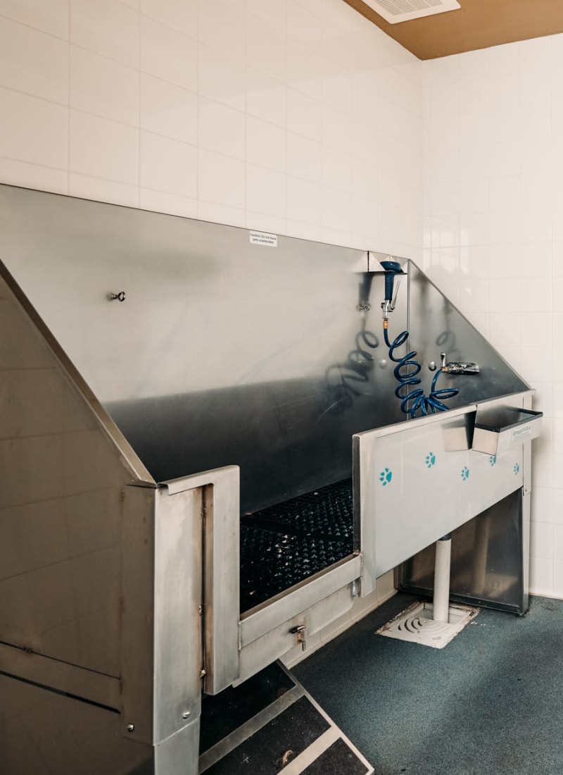 Pet-grooming area at Marquis Cross Mountain in San Antonio, Texas