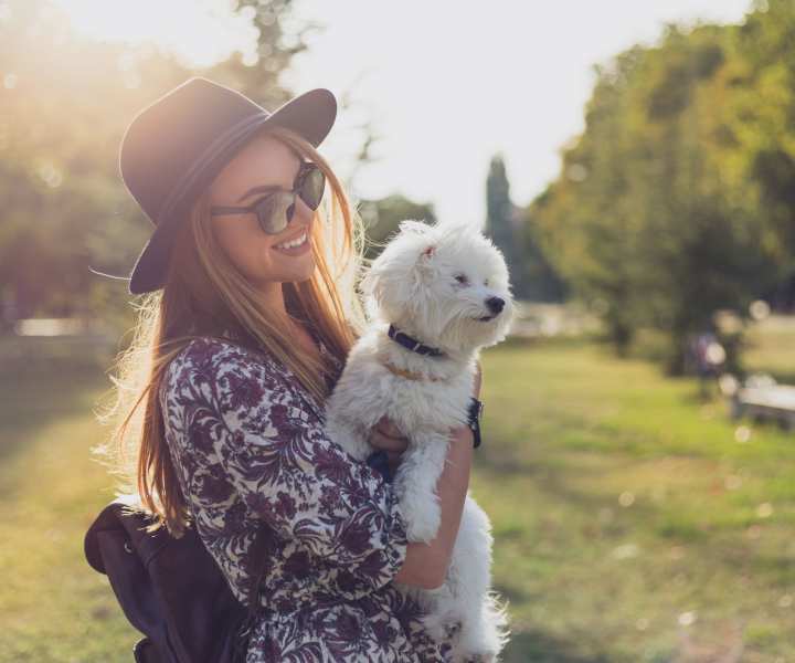 Pet-friendly at The Acacia in Palo Alto, California