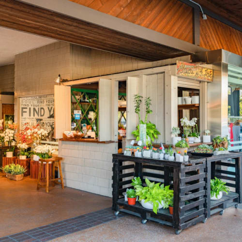 Neighborhood at Luxe Villas in Brentwood, California