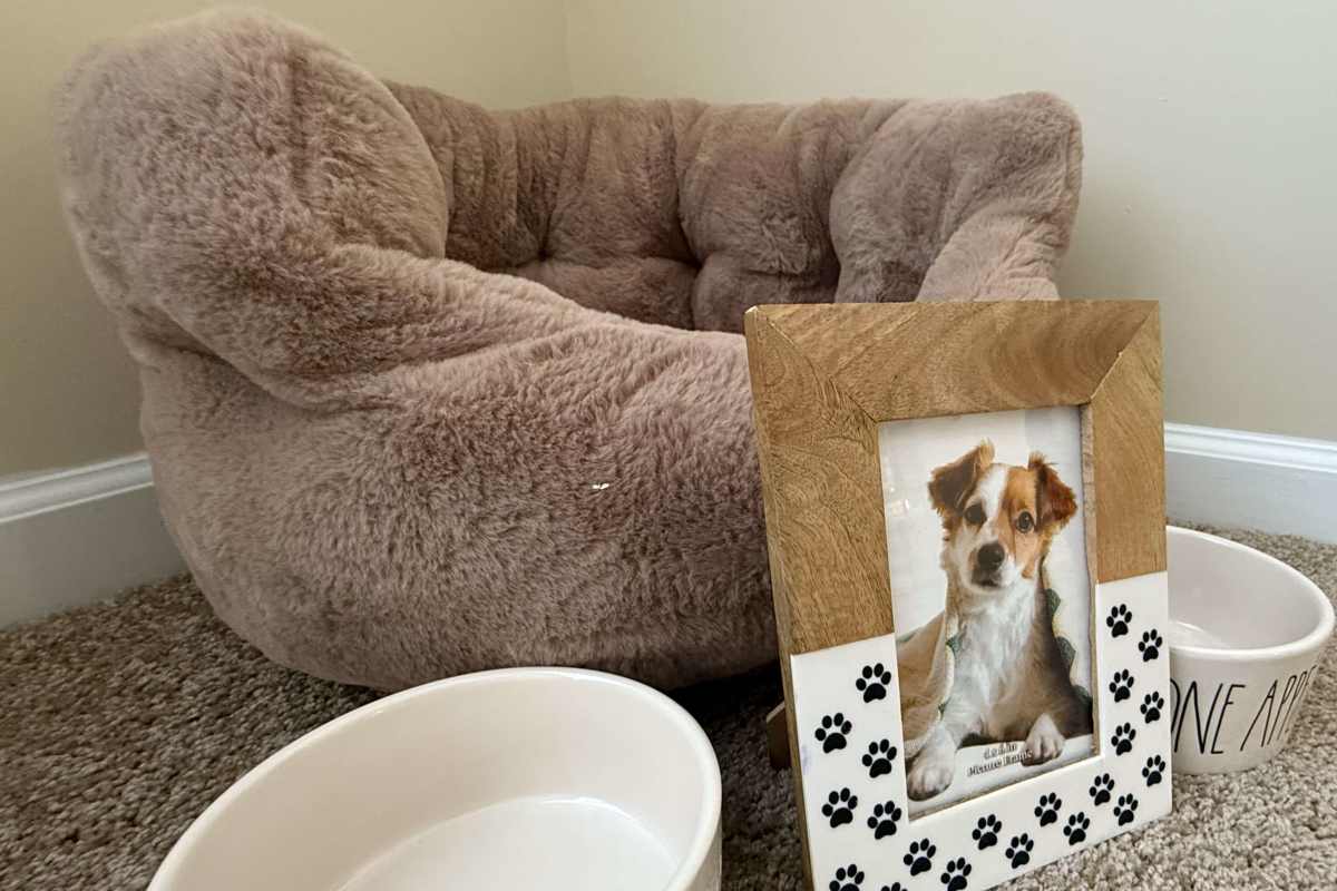 Pet bed in living room at Stonecrest in Siler City, North Carolina