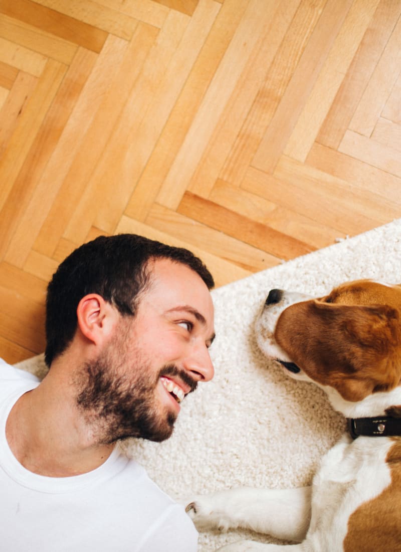 Breed restrictions at Marquis at Silver Oaks in Grapevine, Texas
