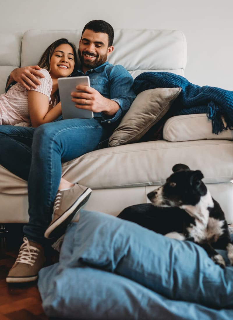 Two pets maximum per apartment at Marquis at Stone Oak in San Antonio, Texas