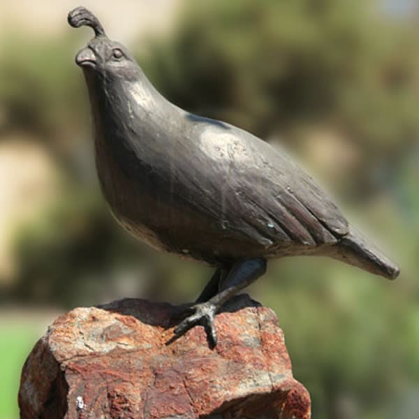 Quail statue at Quail Park on Cypress in Visalia, California