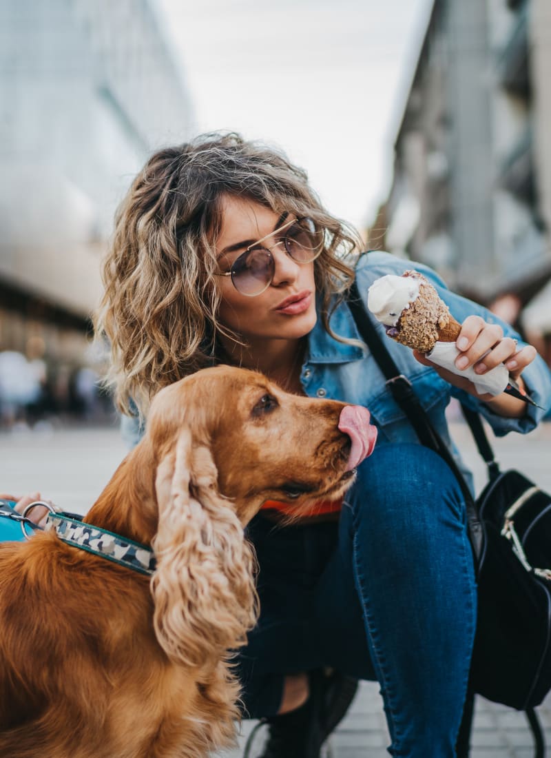 Breed restrictions at Austin Midtown in Austin, Texas