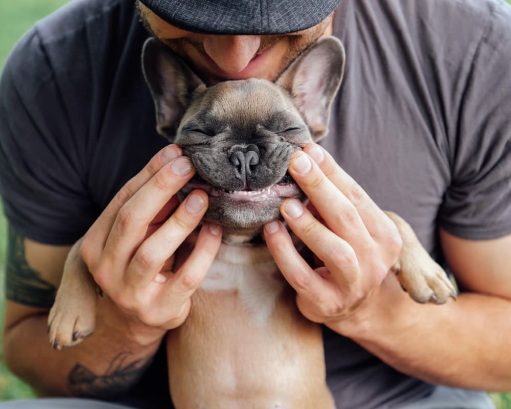 Resident holding his puppy up to smile for the camera at Bidwell Park Fremont in Fremont, California