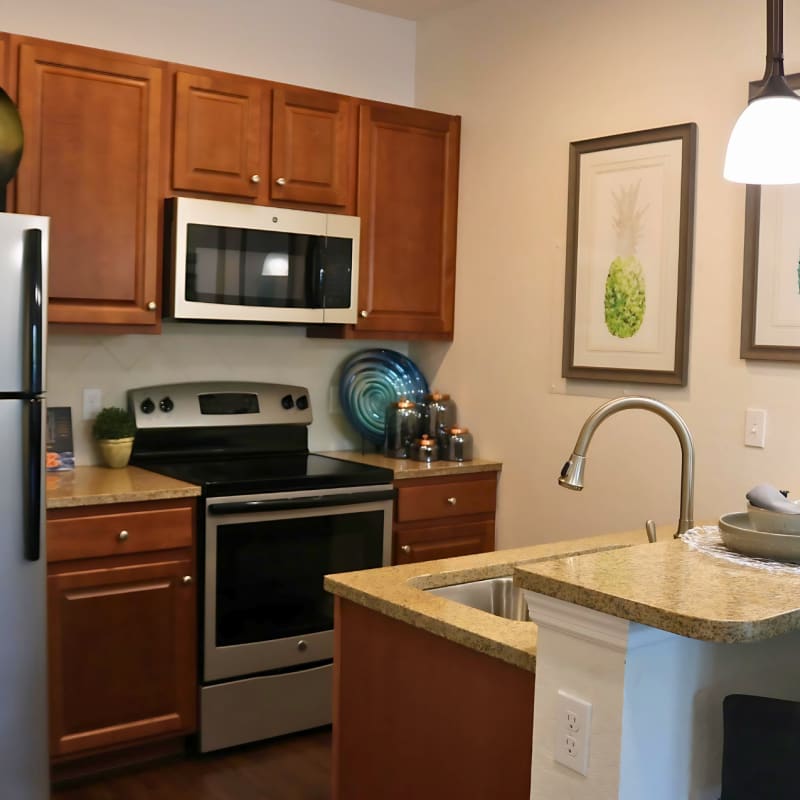 Kitchen at Goldelm at Bennett Park in Bradenton, Florida
