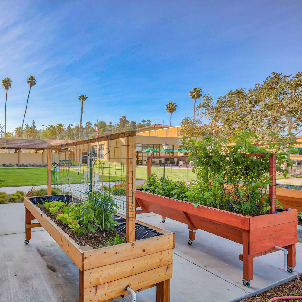 Community garden and landscaped courtyard at The Springs in La Mesa, California