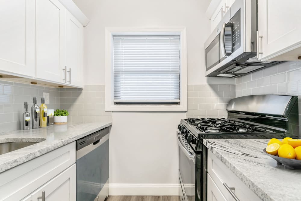 Kitchen with stainless steel appliances at Eagle Rock Apartments at Hicksville/Jericho in Hicksville, New York