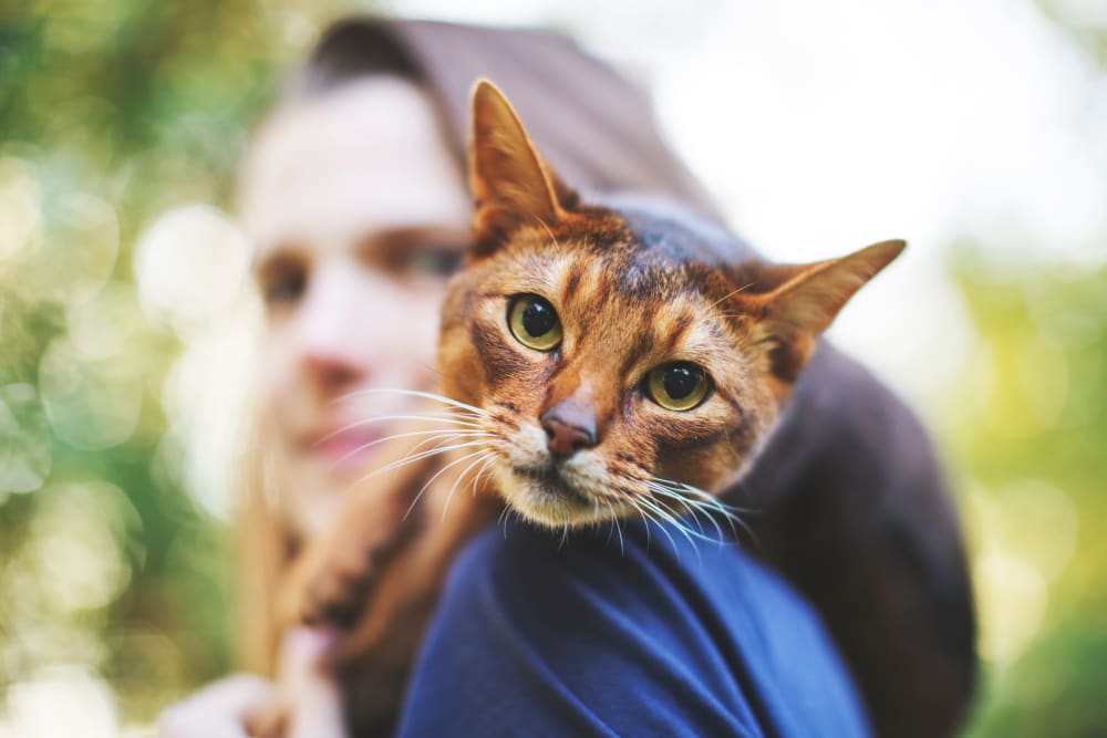 Resident with their cat loving their new life at Marina Villa in Norfolk, Virginia