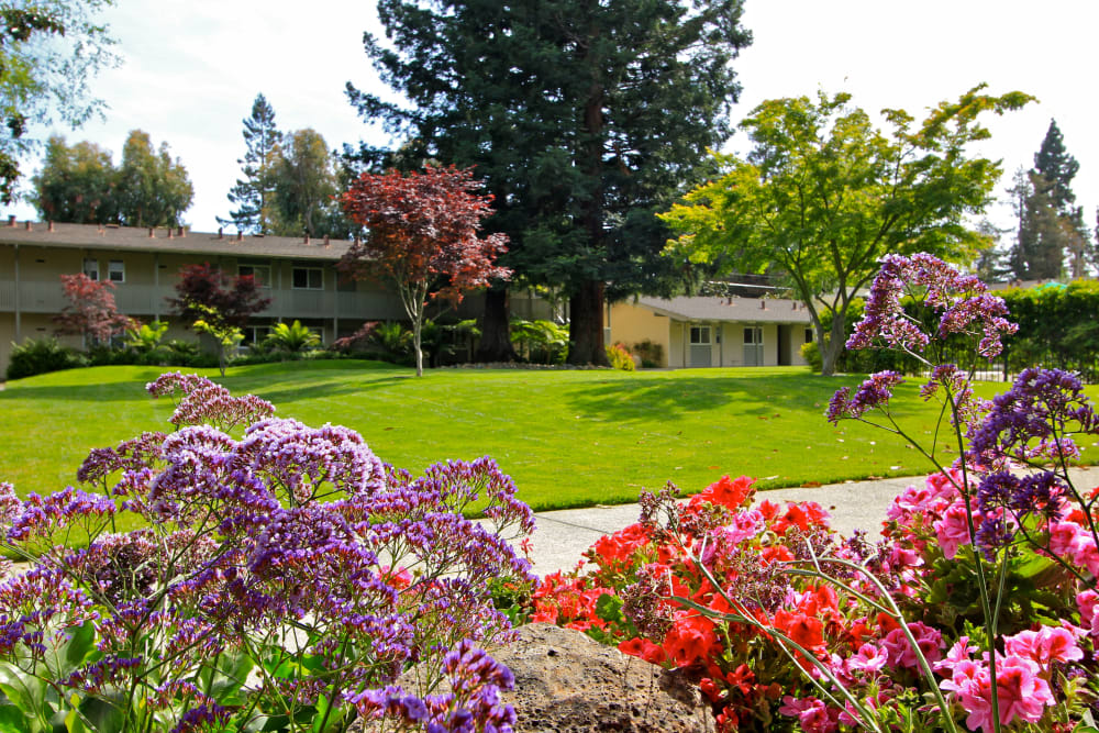 Lush landscaping at Parkwood Apartments in Sunnyvale, California