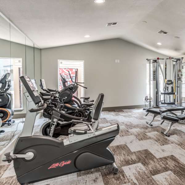 View Neighborhood at Lexington in The Woodlands, Texas