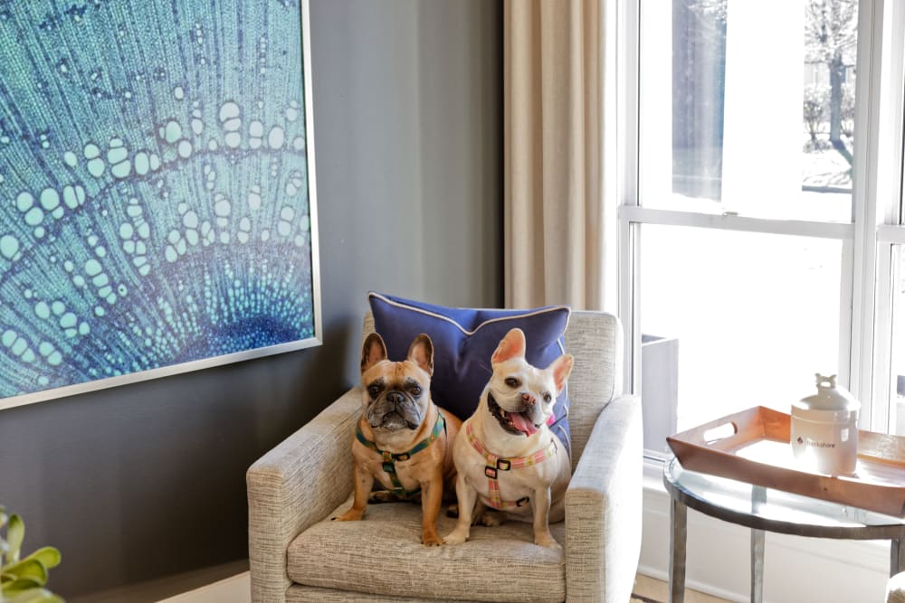 community room at Stewards Crossing Apartments in Lawrenceville, New Jersey