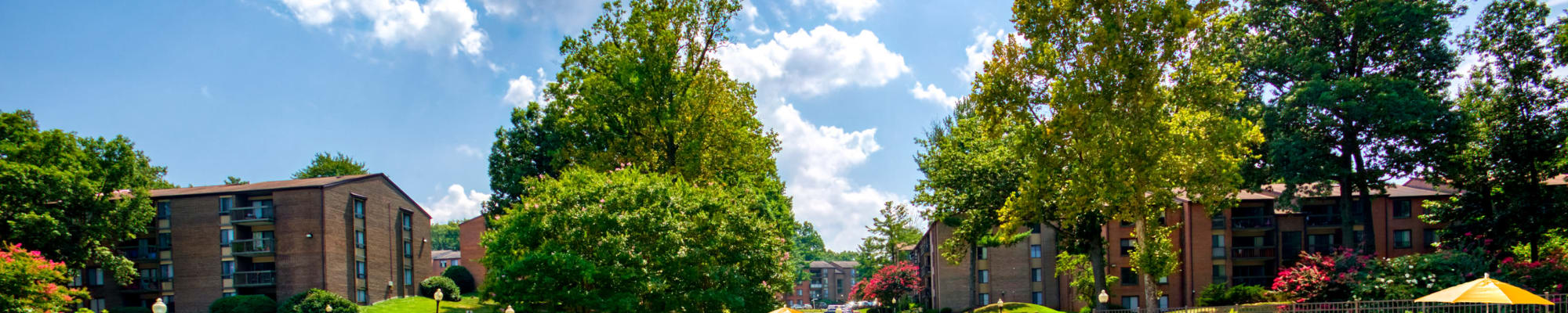 Privacy Policy at Vistas of Annandale in Annandale, Virginia