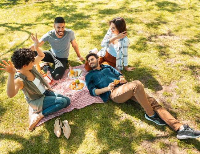 Friends enjoying a picnic on a sunny grass area at Tesoro Del Valle in Los Angeles, California