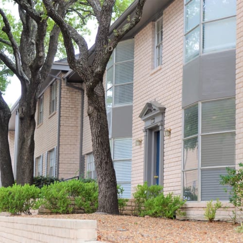 Mature trees outside an apartment builidng at Tanglewood in San Antonio, Texas