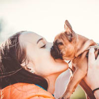 Pet-friendly at Copper Mill in Austin, Texas