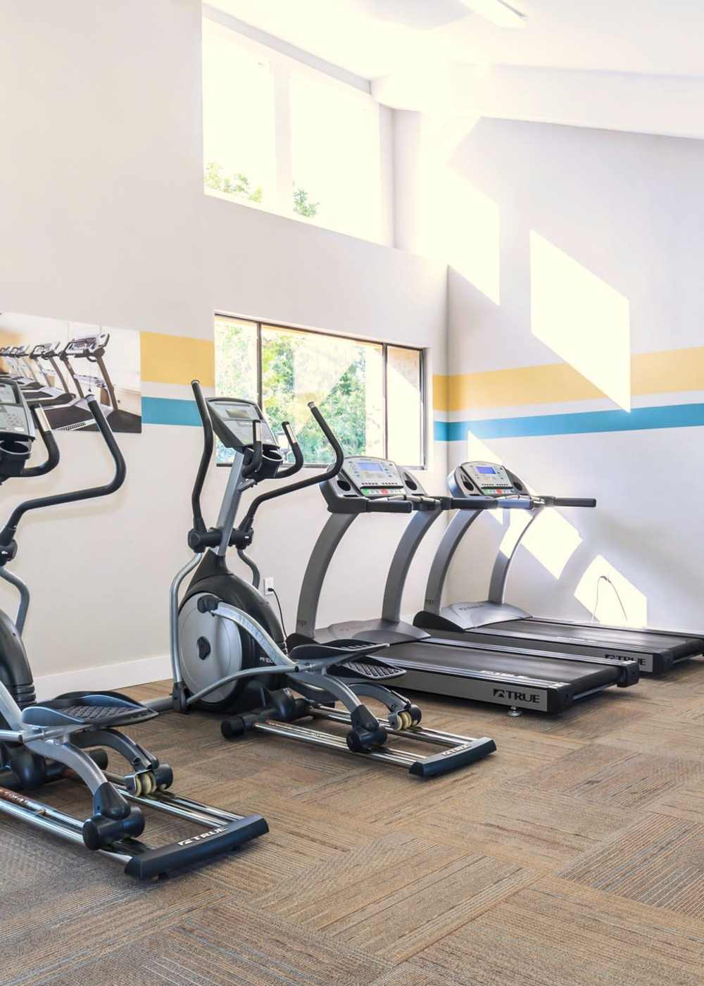 Cardio equipment in the fitness center at Fountains at Forestwood in Fort Myers, Florida